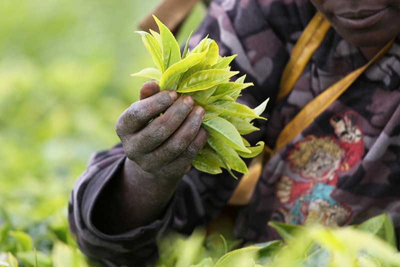 Strengthening capital markets can have a positive impact on the lives of many people in developing countries.